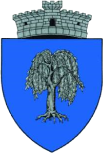Stema comunei Salcia