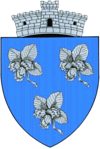 Stema comunei Aluniș